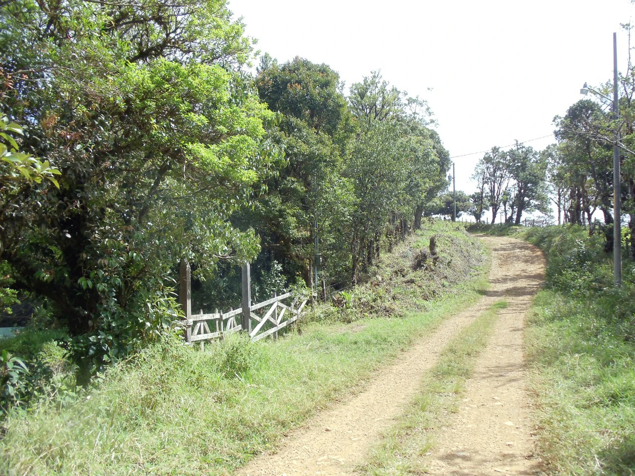Fantastic property near Biological Reserve - Gallery image 12