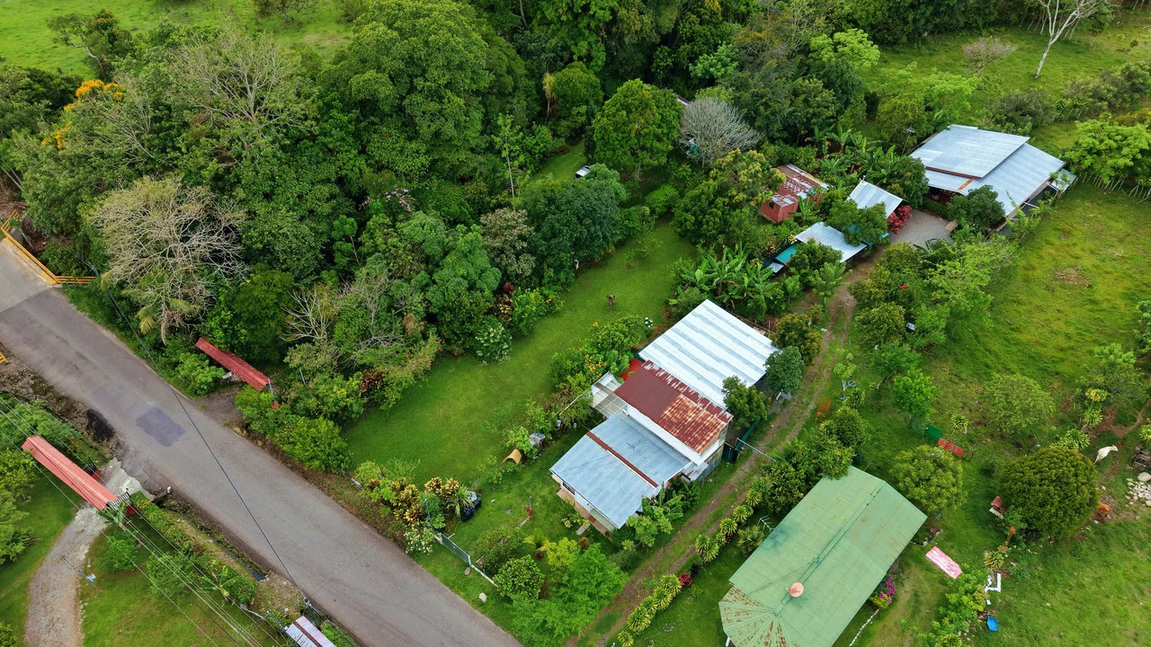 LOTE PLANO CON FRUTALES: Mountain Home Construction Site For Sale in General Viejo - Gallery image 22