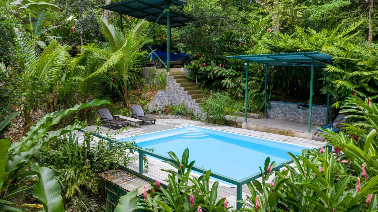 4 Bd/3 Ba - Two Caribbean Homes w/ Pool, on 5000m²: Dual Home Jungle Property in Punta Uva - Gallery image 29