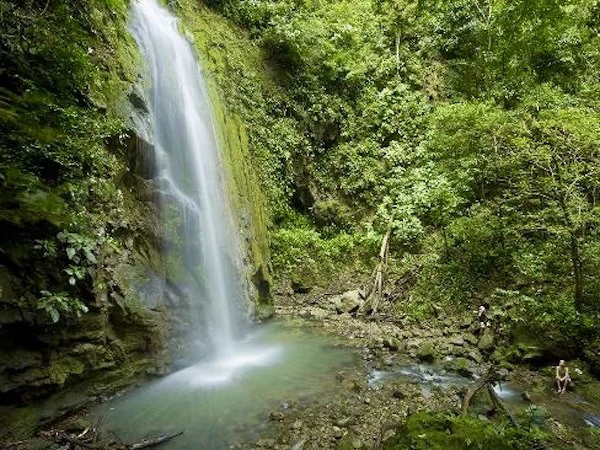 Beautiful Lot in Matapalo Osa Peninsula - Gallery image 10