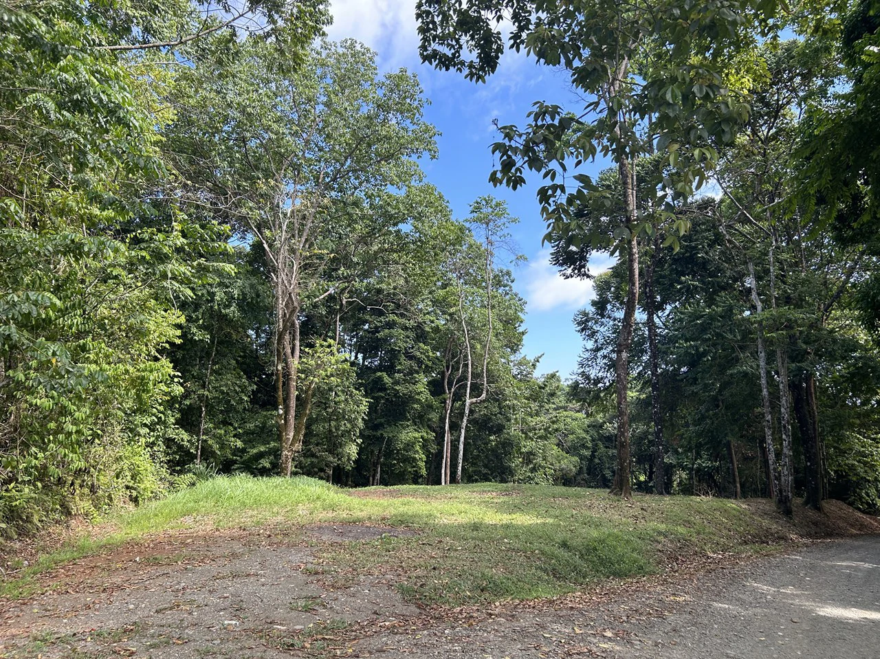 Cabo Matapalo: Jungle View Lot Priced To Sell! - Gallery image 17