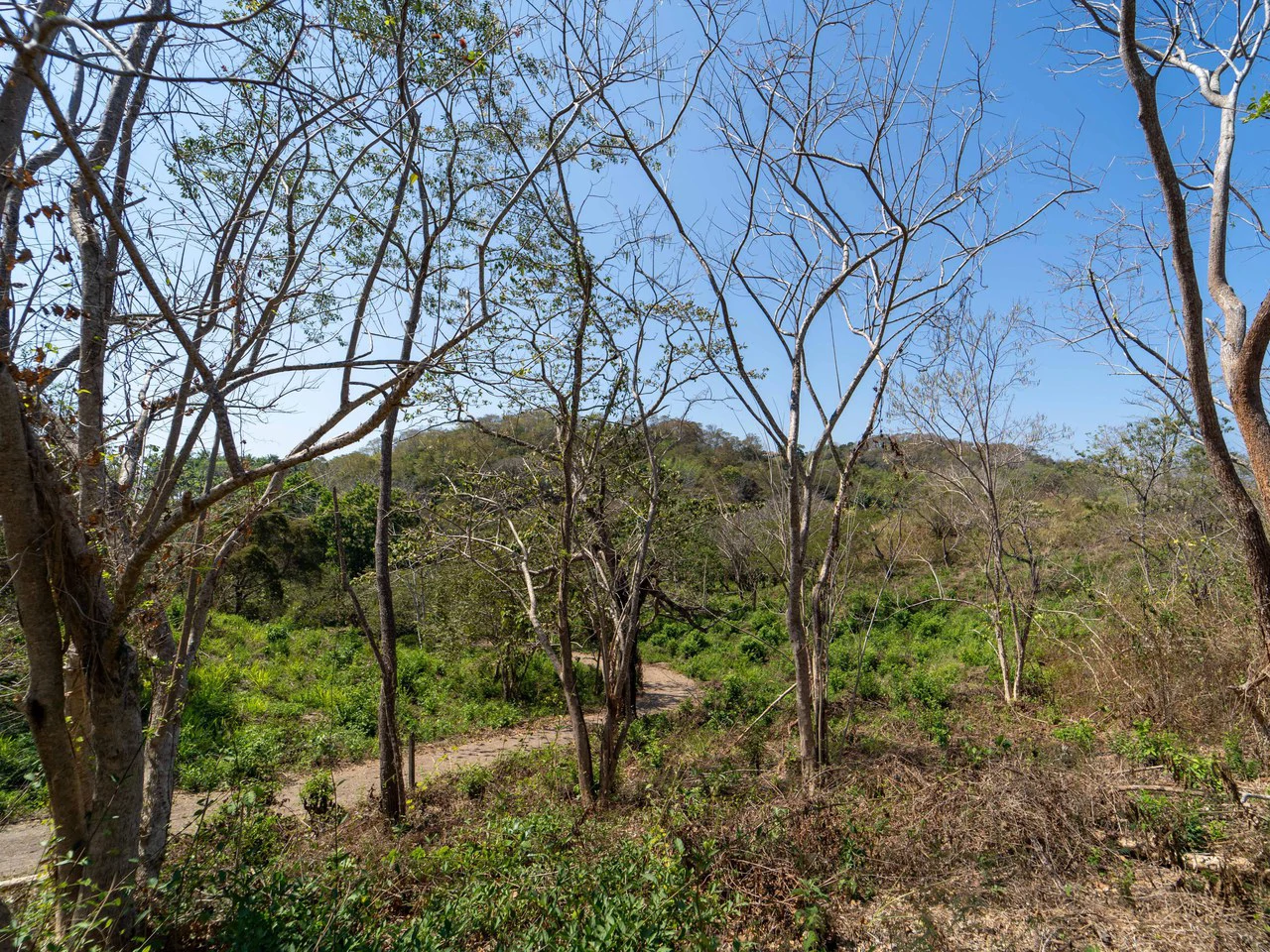 Finca Punta Indio: Dream Investment Opportunity - Gallery image 9