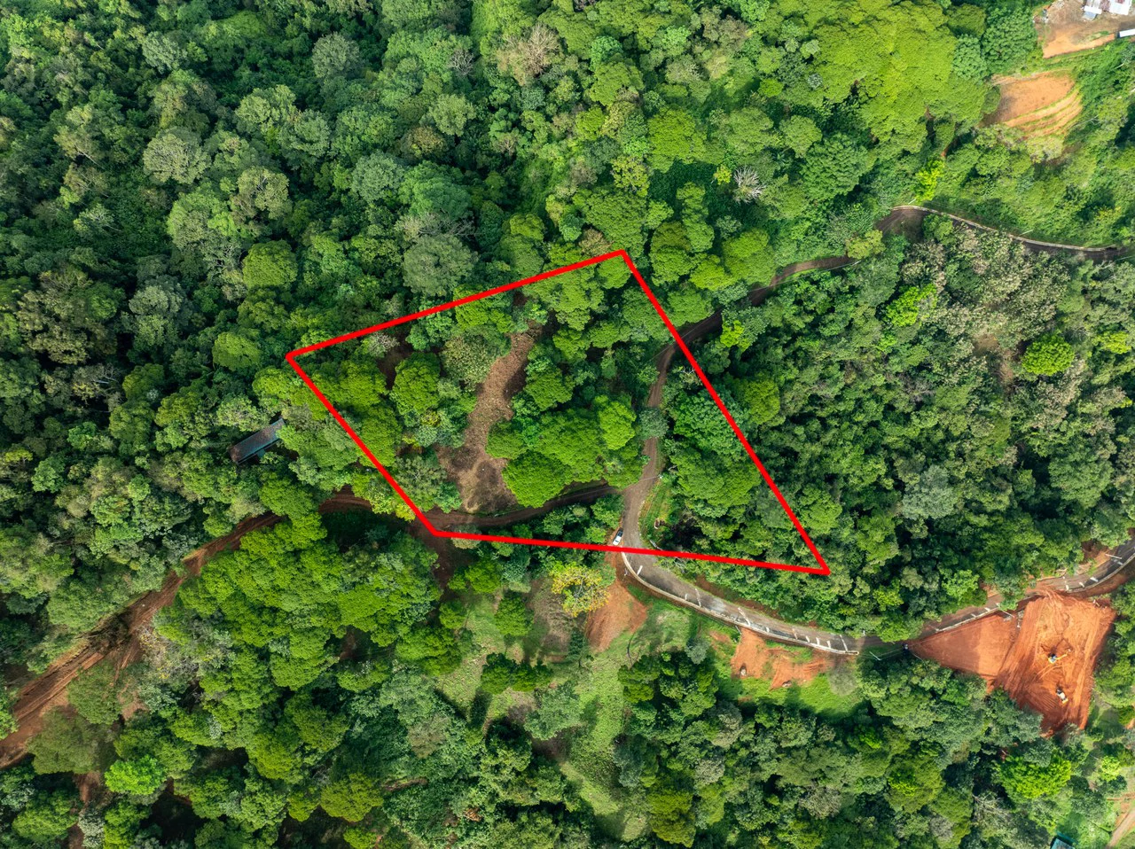 2.9 Acre Paradise with Diamante Valley Views Dominical - Gallery image 11