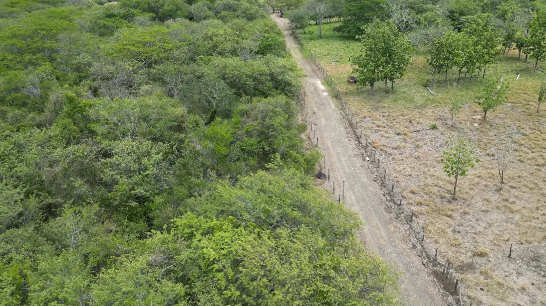 Land for Sale in Liberia, Guanacaste - Gallery image 6