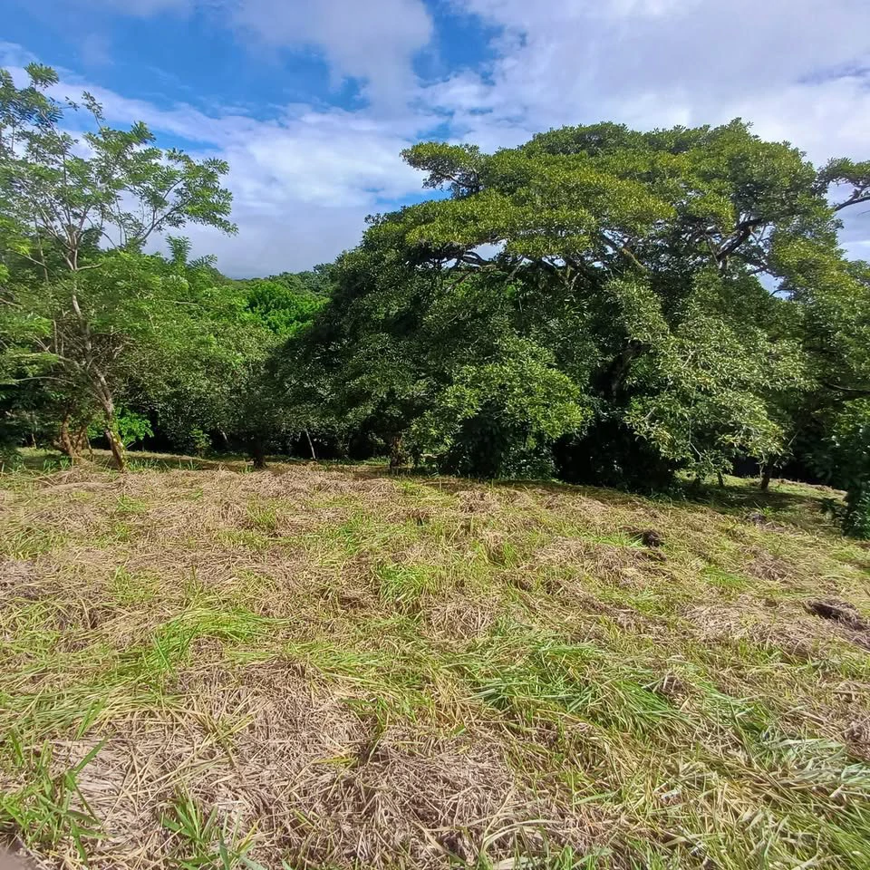 BAY VIEW PARADISE: Large Building Lot, Lake Arenal View - Gallery image 5
