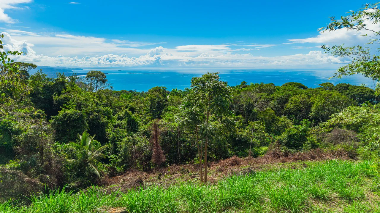 Luxury Ocean View Homesite in Escaleras Playa Dominical - Gallery image 16