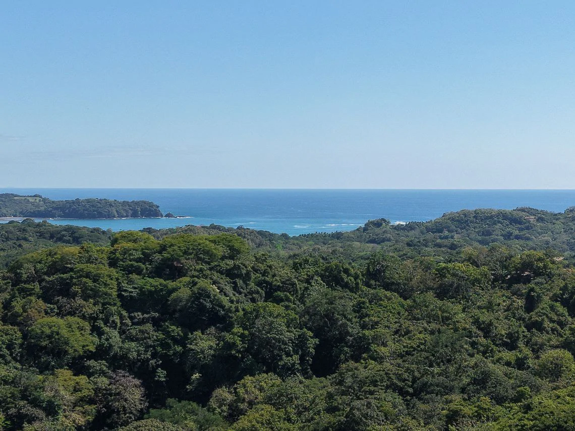 Lote Los Tecales: Spectacular Ocean & Jungle View Hillside Homesite with Approved Building Permit and House Renderings - Gallery image 2