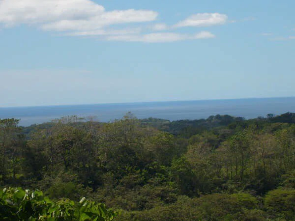 Ocean View Farm - Gallery image 2