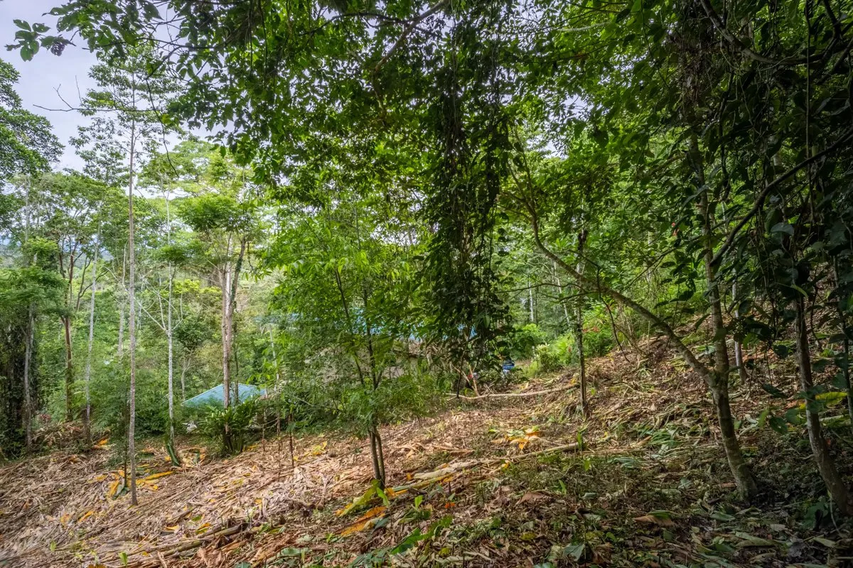 ID 1084: 5,500 sqm Lot with Mountain View in Iriria 1, Punta Uva - Gallery image 9