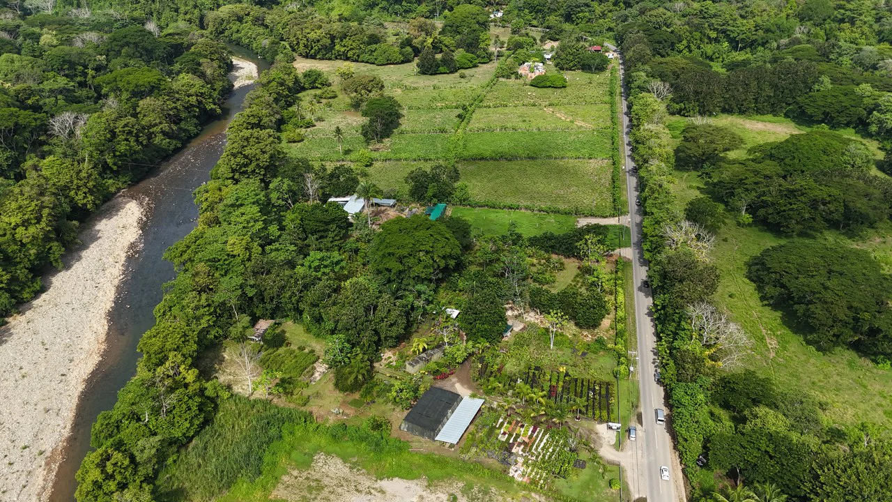 Finca en Barú: Near the Coast and Riverfront Agricultural Land For Sale in Barú - Gallery image 2