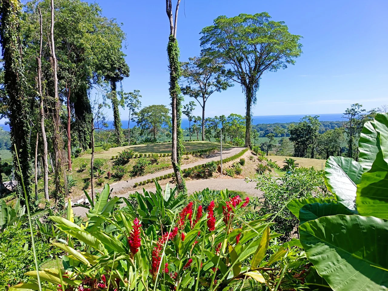 ID 4193: Ocean View Residential Lot for Sale near Puerto Viejo, Caribbean Costa Rica - Gallery image 9