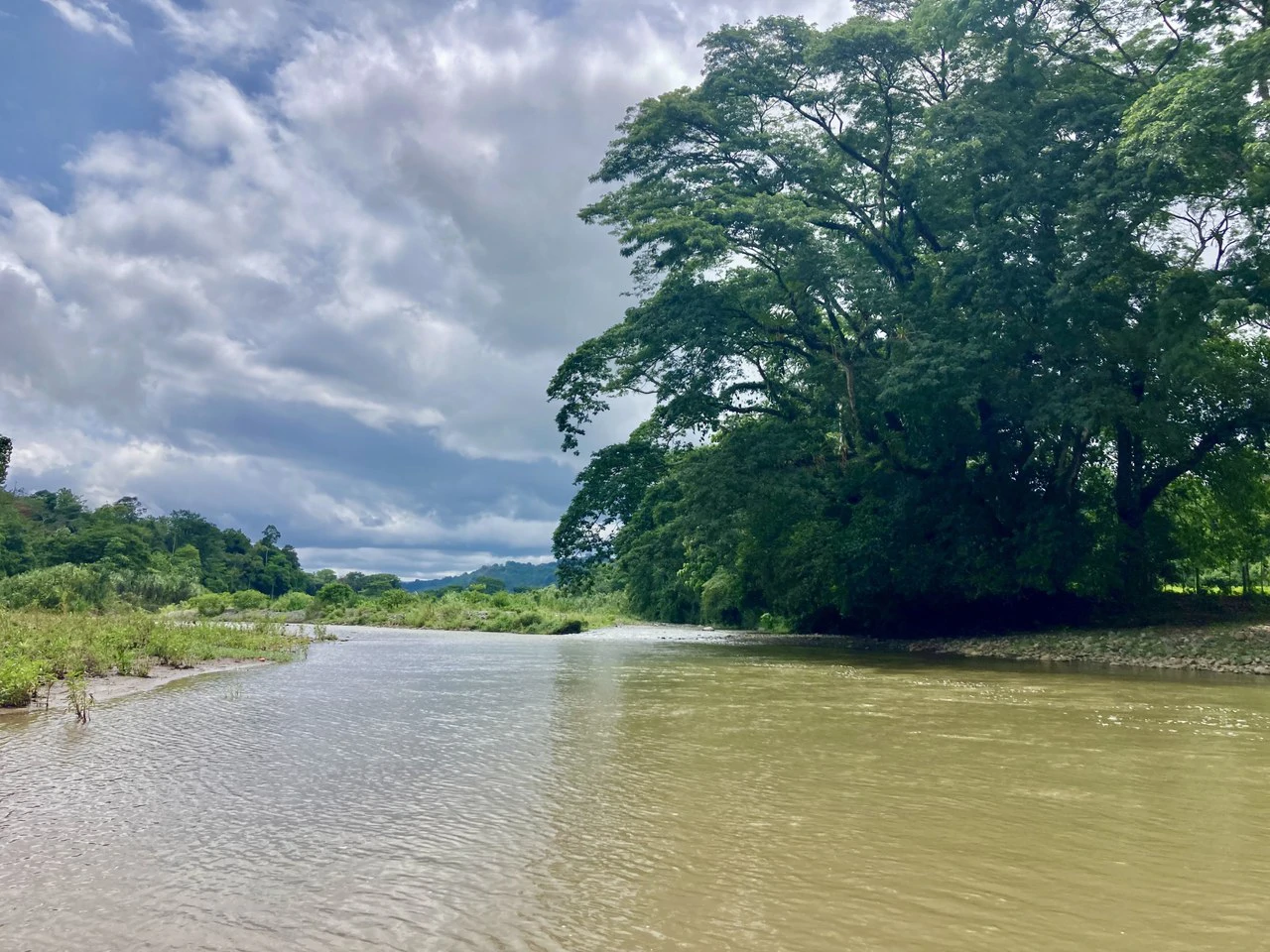 Frog Desing House: Property for Sale in Parrita, Costa Rica - Gallery image 34