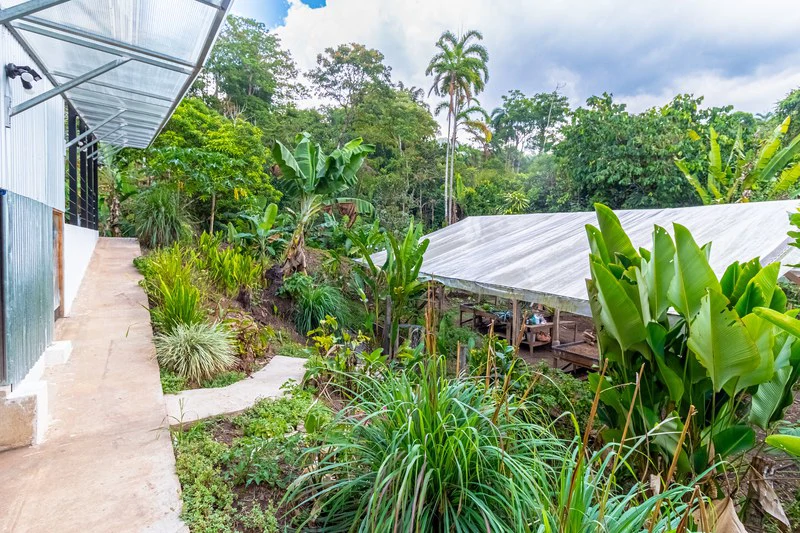 Casa San Pedrito: Beautiful house for sale in San Pedrito,(1,3hect) Perez Zeledon - Gallery image 7