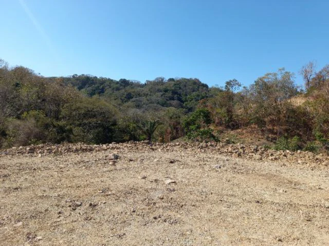 Building Lots for sale in a pristine and peacefull woodland 3 km from Samara Beach - Gallery image 4