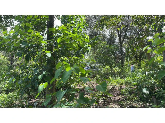 Building potential property for sale in Guadalupe, 5 minutes away from Liberia and 20 from the National Park of Rincon de la Vieja - Gallery image 8