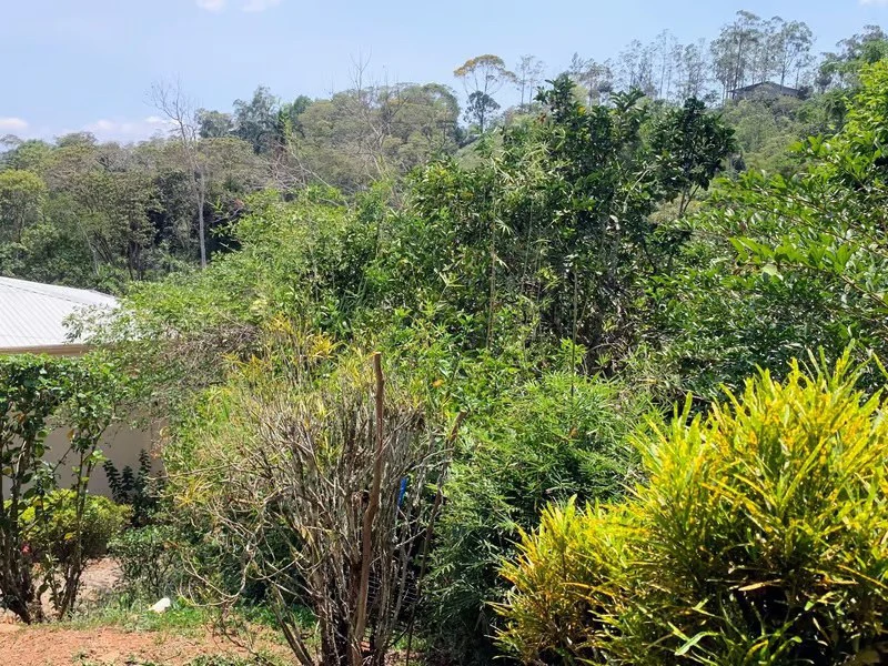 One-Bedroom with a Valley View!: Mountain House For Sale in San Rafael Norte - Gallery image 16