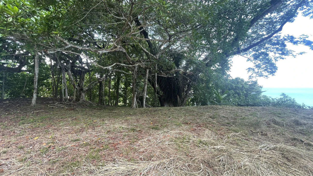 Lote playa Pita Puntarenas:    Your Opportunity on Costa Rica’s Central Pacific Coast - Gallery image 9
