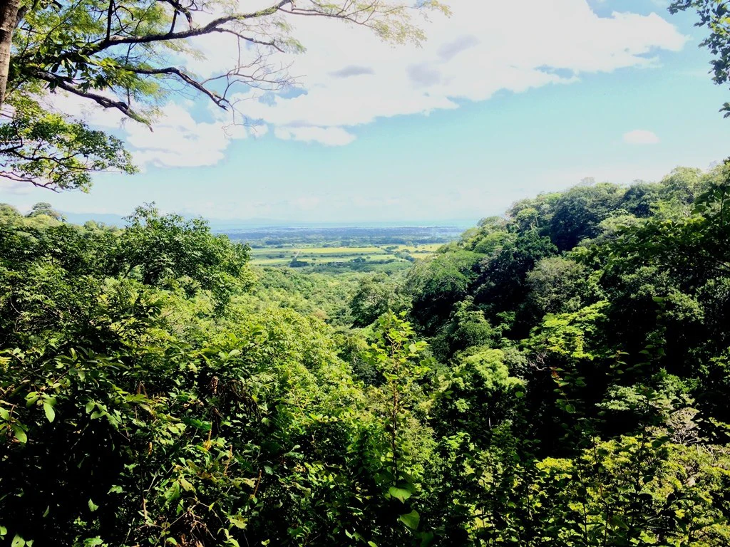 Great Ocean, valley and garden view Lots for sale in a Private Gated Community in Peninsula Papagayo - Gallery image 3