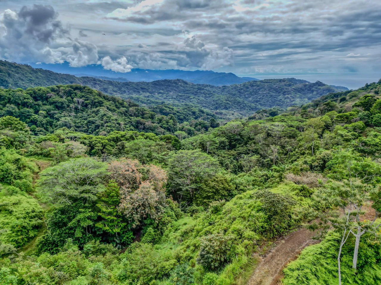 24.46 ACRES- Ocean And Mountain View Land, 4 Building Areas, Legal Water, Public Road, 20min From Beaches!!! - Gallery image 7
