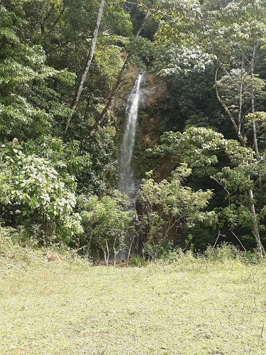Finca Tesoro Escondido - The Jewel of Uvita - Gallery image 66