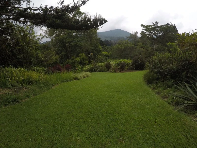 TROPICAL FOREST DREAM 15 min from downtown SJ - Gallery image 11
