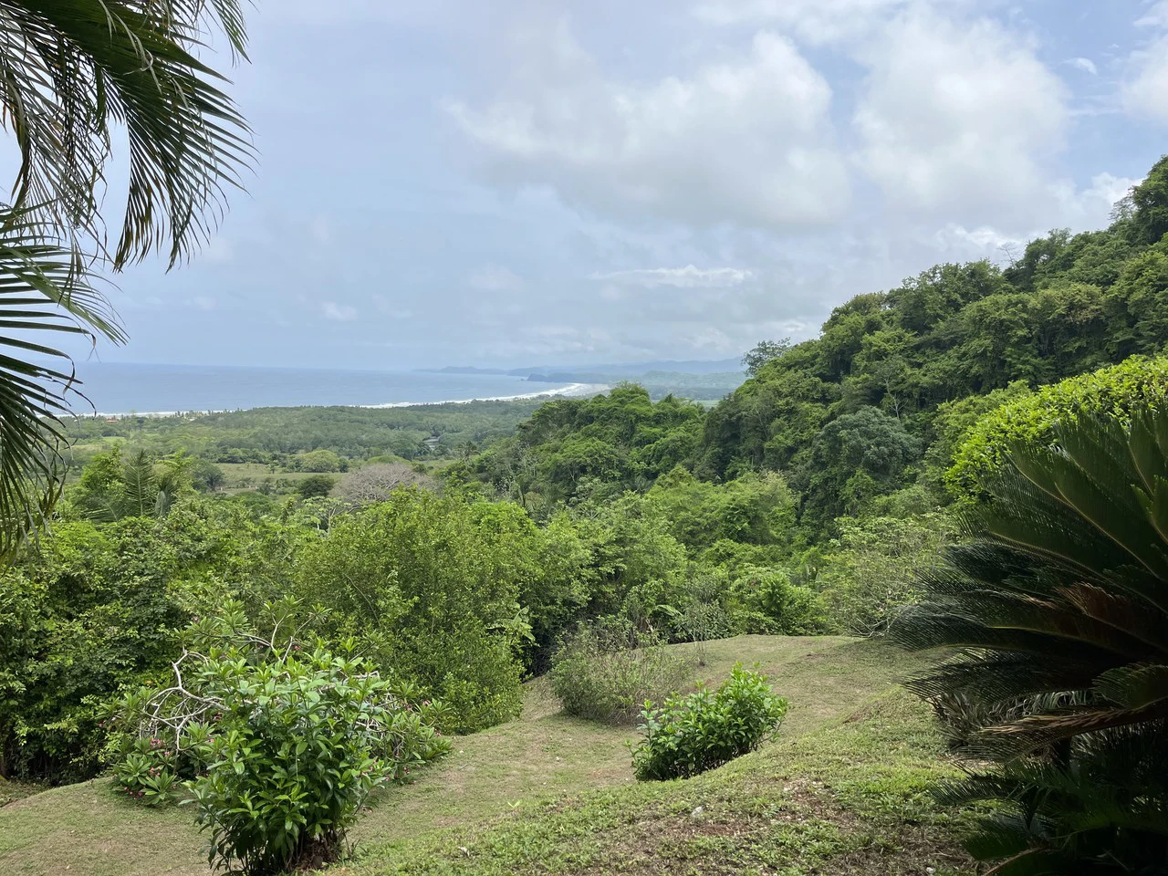 Spectacular Coastal Retreat With Perfect Ocean Views in Coyote Bay - Gallery image 12