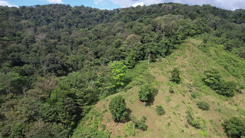 Ocean View & Primary forest 55-ha Rincon de Osa - Gallery image 12