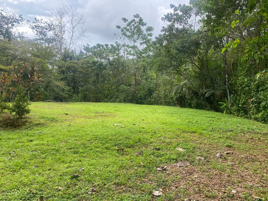 Mountain Home Construction Site For Sale in Tres Rios - Gallery image 2