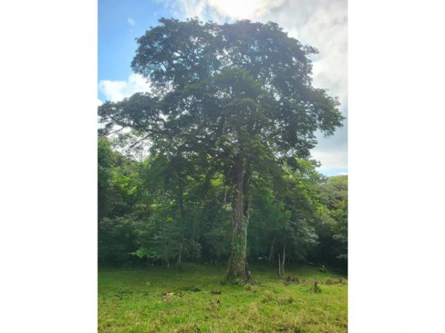 Charming property for sale in Nueva Guatemala with stunning views of the Tenorio Volcano and the beautiful green valleys - Gallery image 6