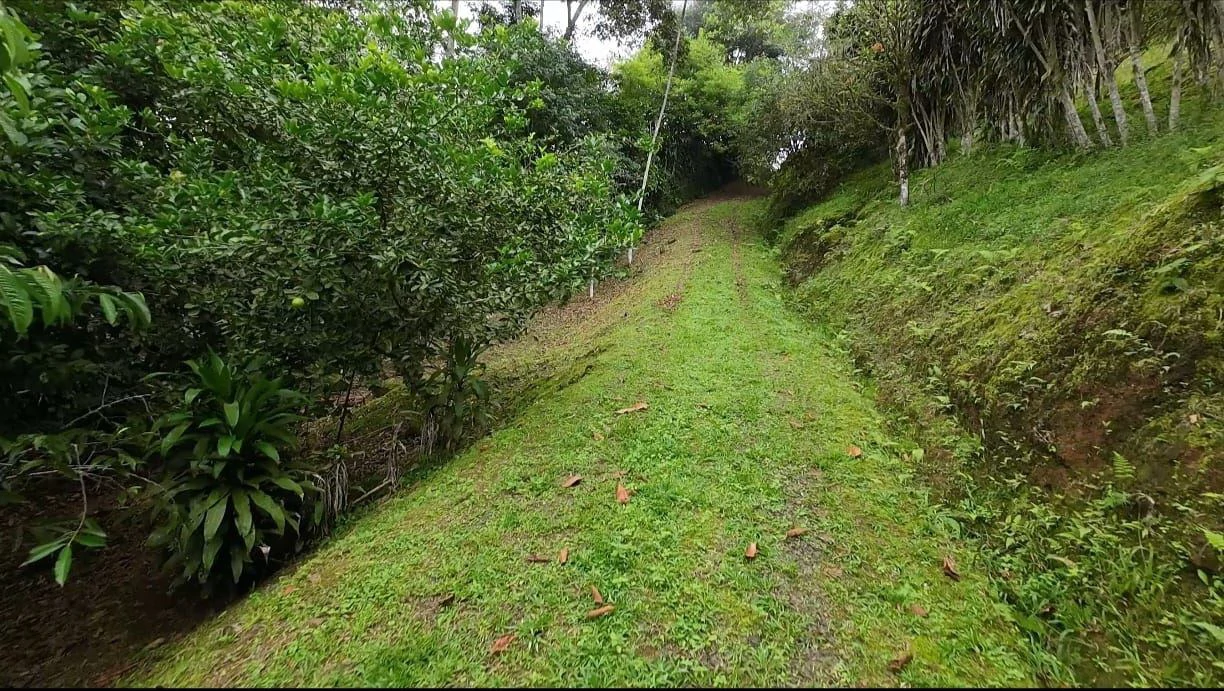 LOTE EN VENTA ALTO SAN JUAN, COSTA RICA: Mountain Home Construction Site For Sale in Barú - Gallery image 10