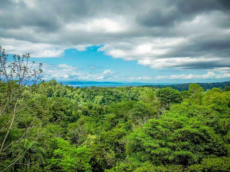 Golfo Dulce Waterfall Jungle Farm | A Nature Lover's Dream Come True - Gallery image 11