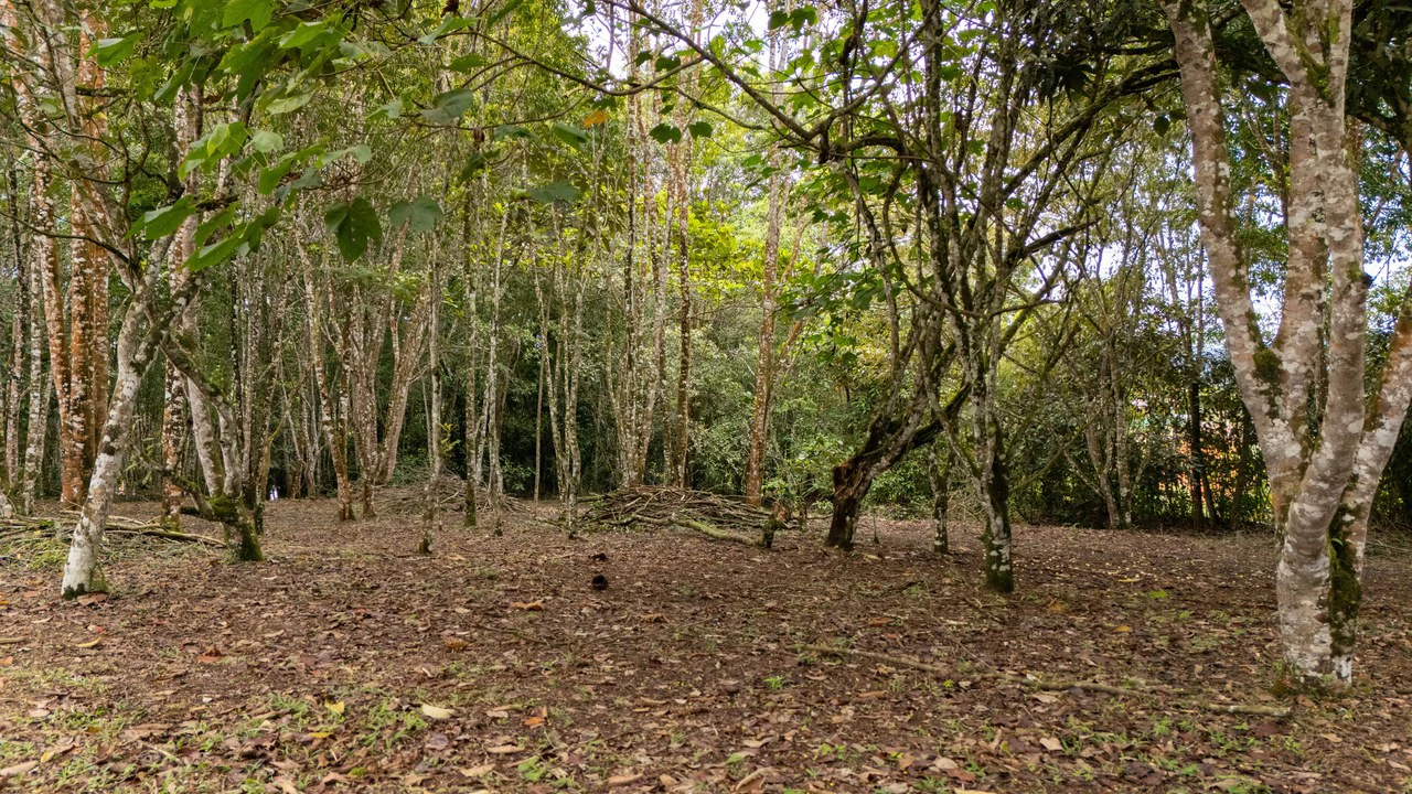 Lot for sale, Located in Barrio La Lucha, Perez Zeledon: Spacious lot for sale in La Lucha Perez Zeledon - Gallery image 3
