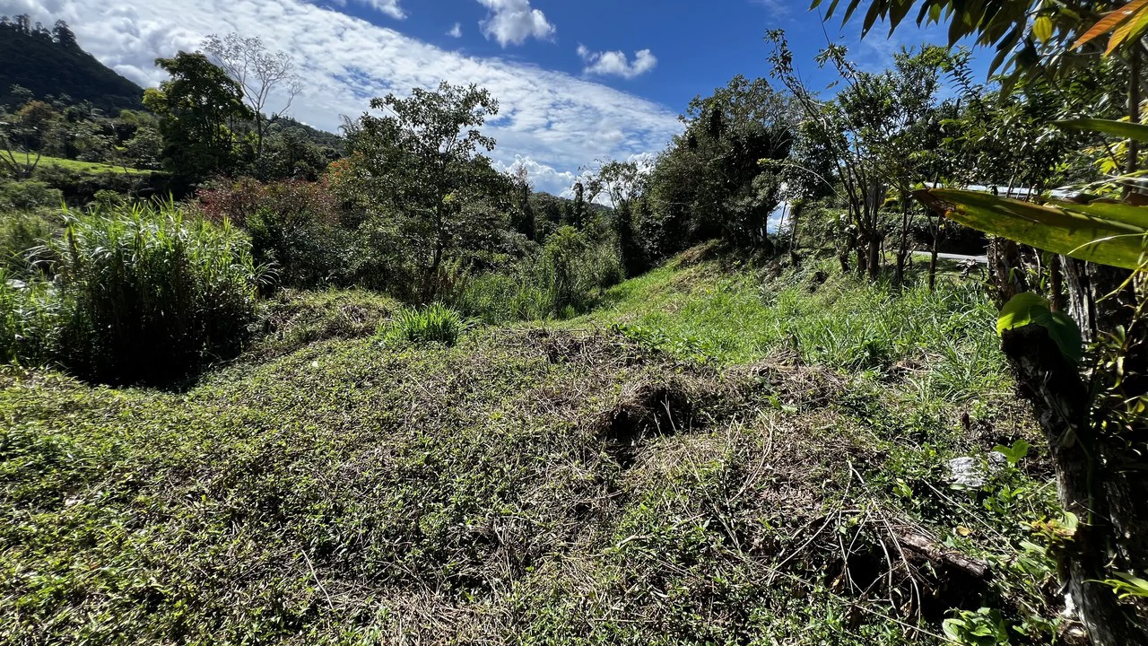 Mountain Home Construction Site For Sale in San Isidro del General - photo 9