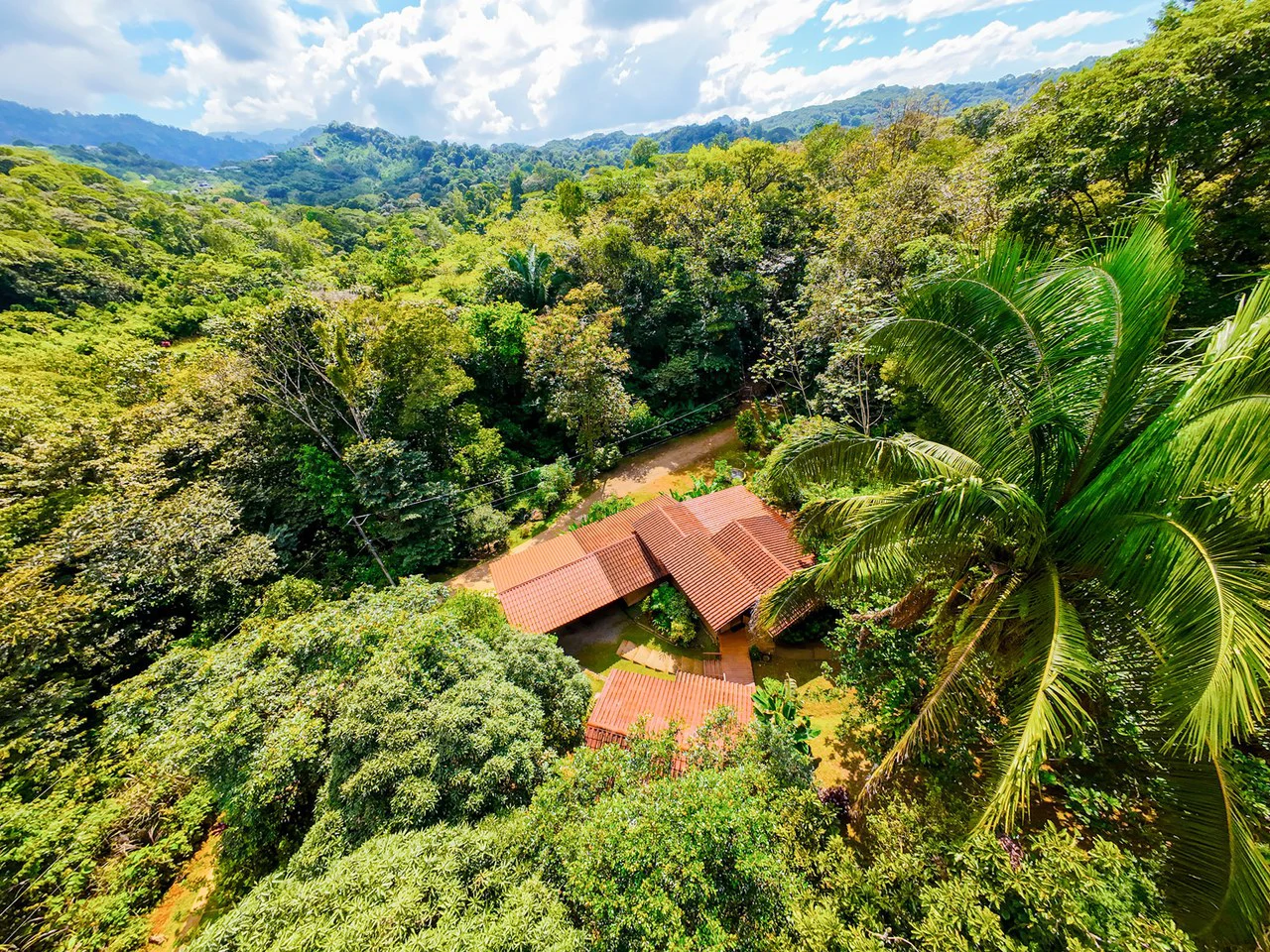 Serene Jungle Home + Guest Cabin on 3 Acres and River - Gallery image 32
