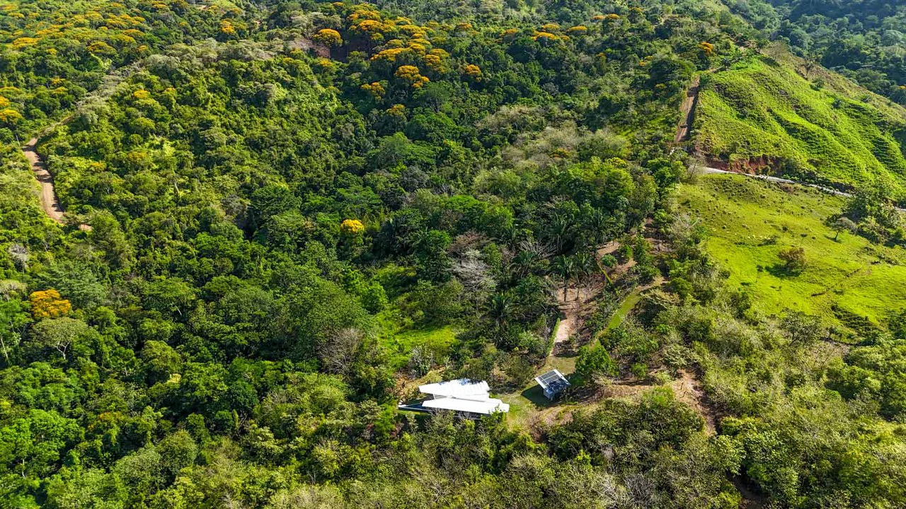 32 Acre Self Sustainable Farm with House Close Ojochal - Gallery image 60