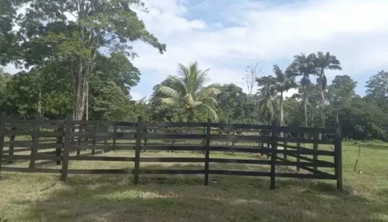 Westfalia, Matama: Countryside and Near the Coast Home Construction Site For Sale in Beverley - Gallery image 2