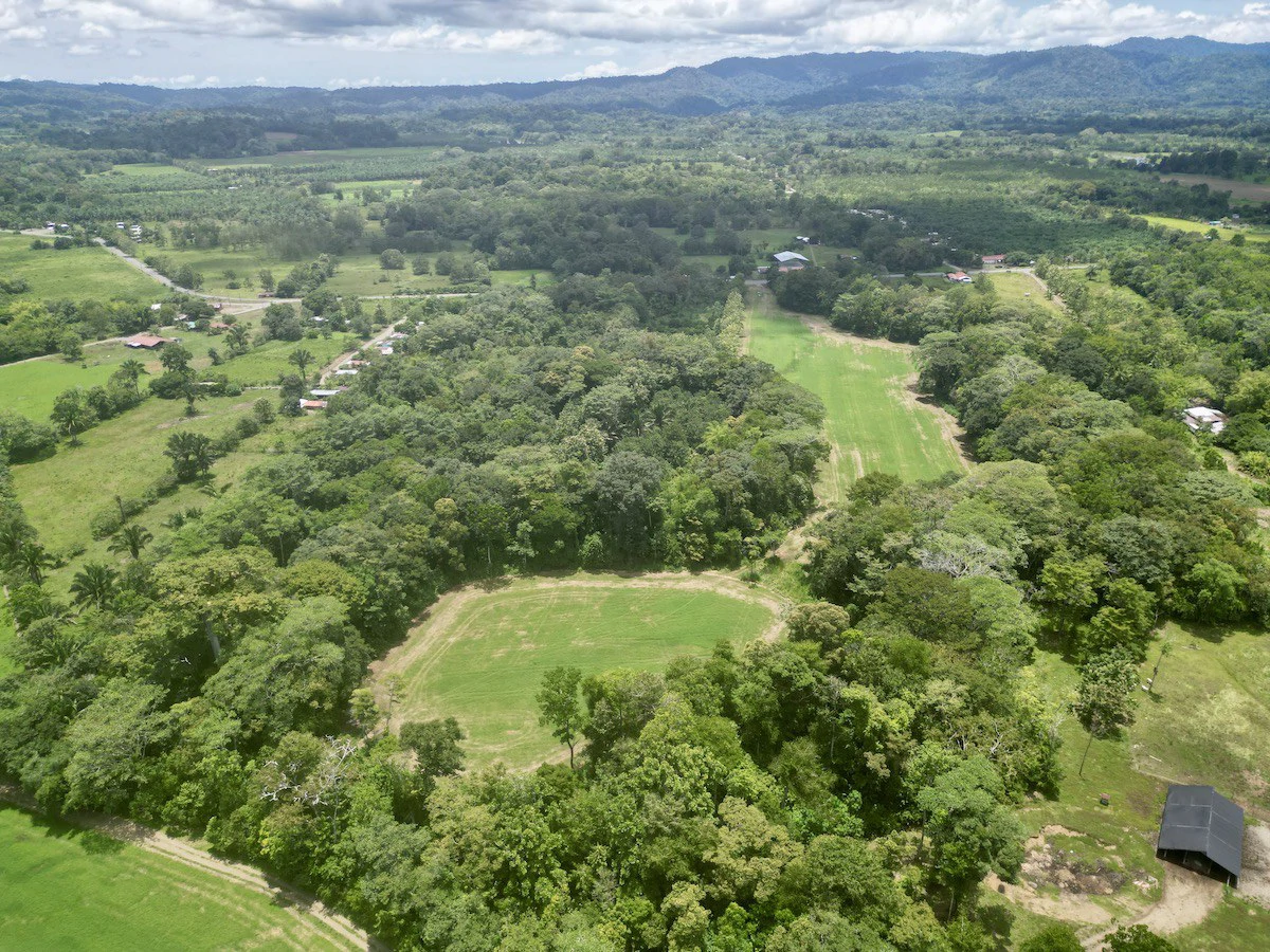 Tropical Farmland 21 Acres - Gallery image 2