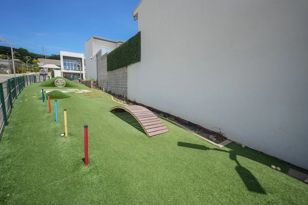 House For Sale in San Rafael - Gallery image 35