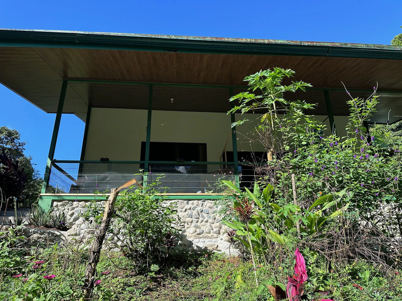Sustainable Living Farm to Table with Home, Guest House ,Tinamastes on the River - Gallery image 10