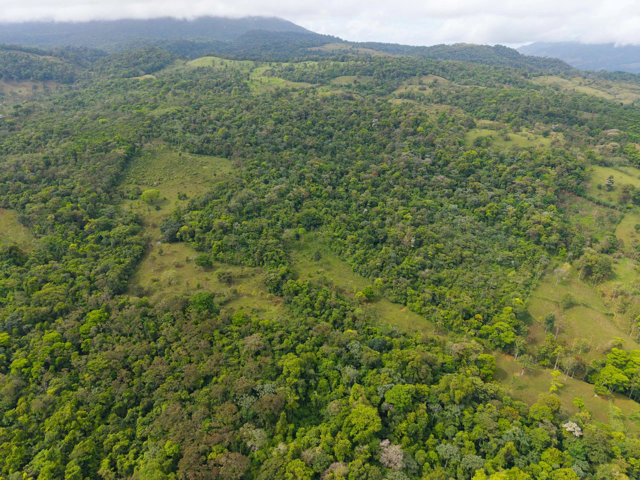 Finca Las Zompopas-Río Celeste: 113-Acre Biodiverse Property in Bijagua, Ideal for Eco-Tourism, Private Retreats, or Sustainable Development - Gallery image 38