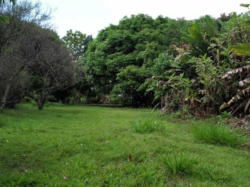 Walk to the Beach | Your Paradise in Playa Blanca, La Palma - Gallery image 16