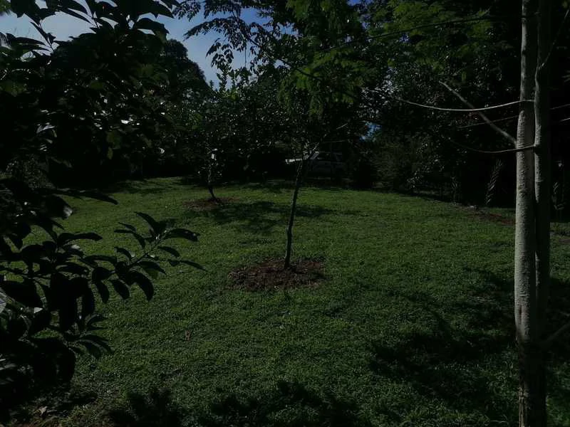 69.16 Acres Property | Mountain & Top Ocean View with Small Home - Gallery image 33