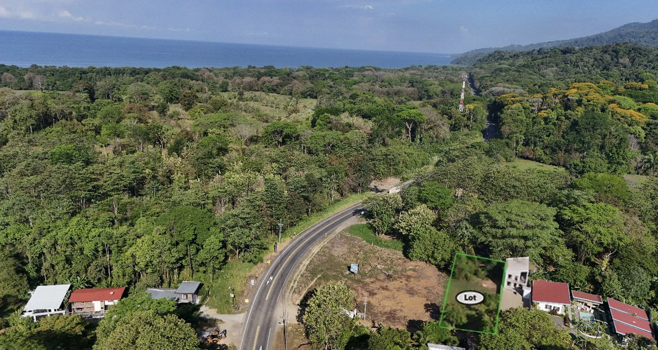 ZONED RESIDENTIAL / COMMERCIAL LOT IN COVETED LOCATION!! - Gallery image 2