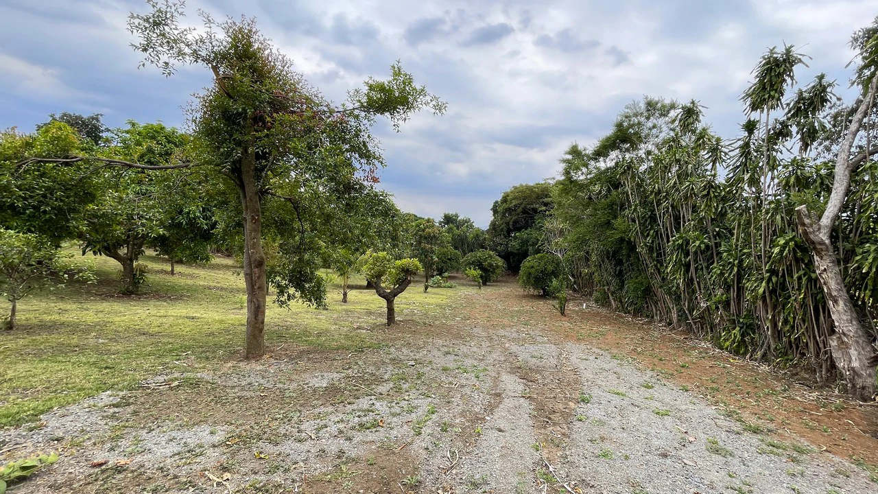 House for Sale in San Isidro, Grecia – 3,359 m² Lot with View - Gallery image 18