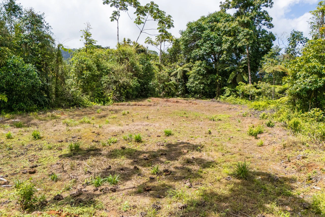 Near the Coast Home Construction Site For Sale in Ciudad Cortés - Gallery image 15
