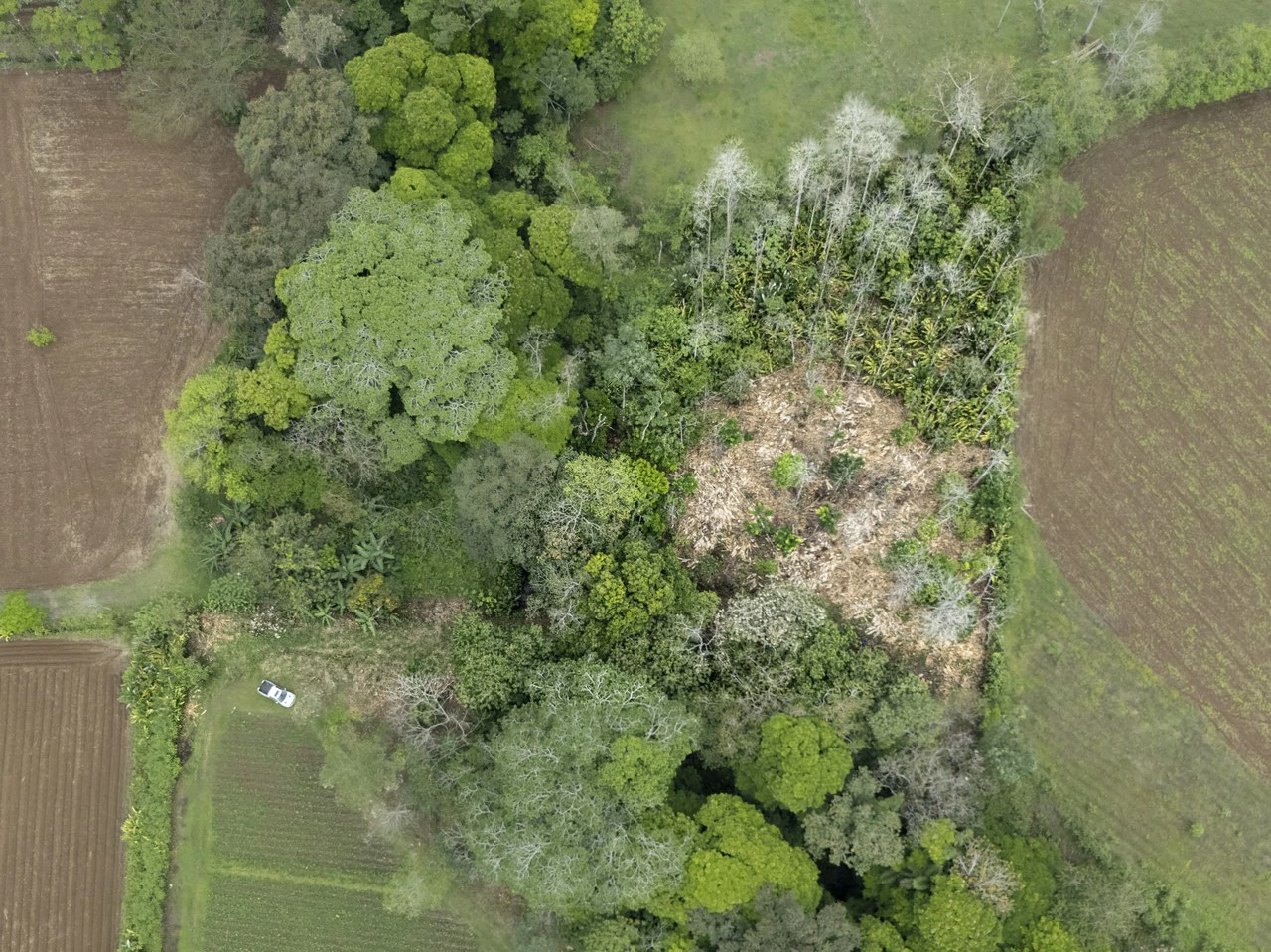 $8 Dollars per meter: Countryside Development Parcel For Sale in Los Angeles - Gallery image 11