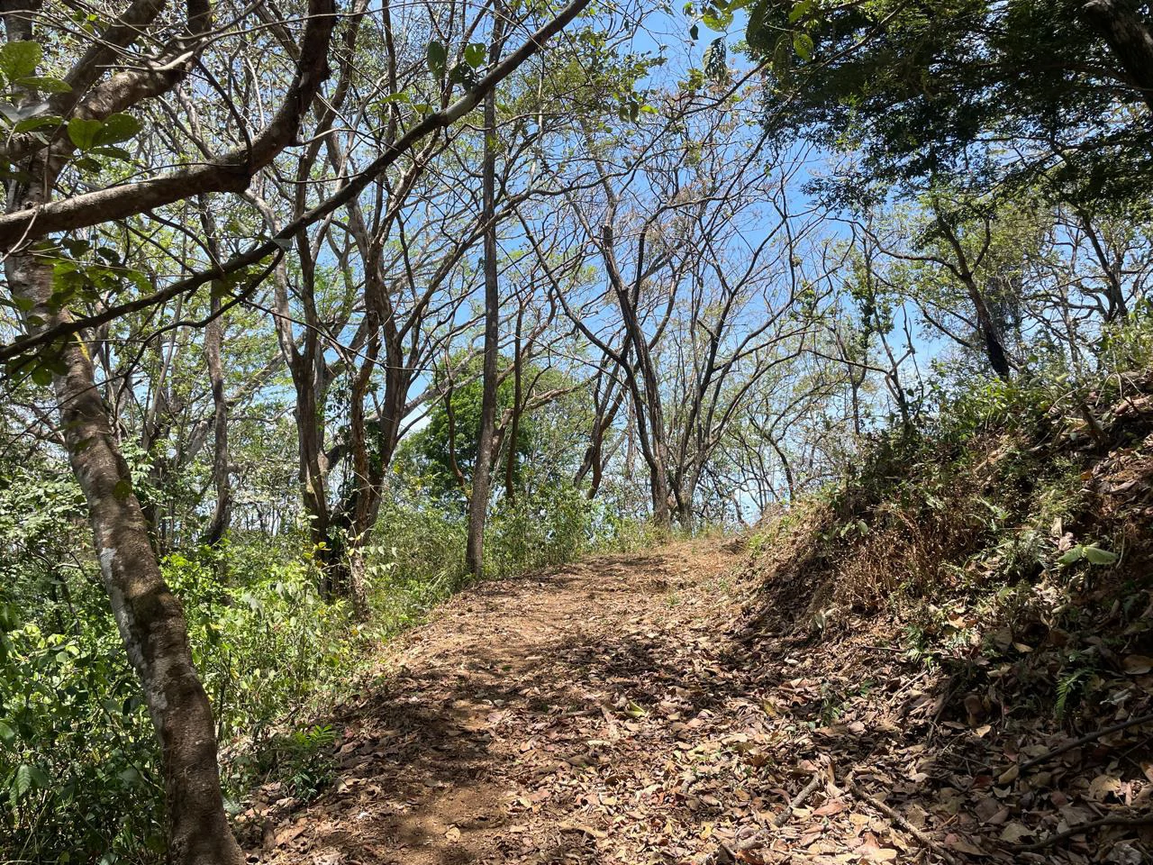 Ocean view property for sale Rodeo Ciudad Colon San Jose Costa Rica - Gallery image 16