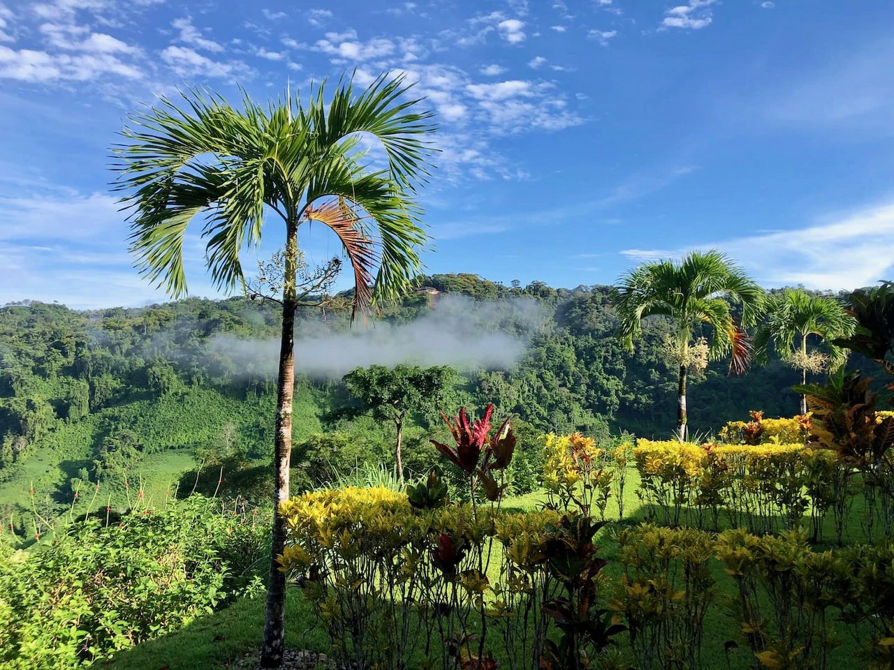 2.8 ACRES – 10 Income Producing Condos with a Pool and Spectacular Ocean and Mountain Views! Gated Community of Cascada Azul, 15min to Dominical Beach!!!: Near the Coast, Mountain and Countryside Apar - Gallery image 23