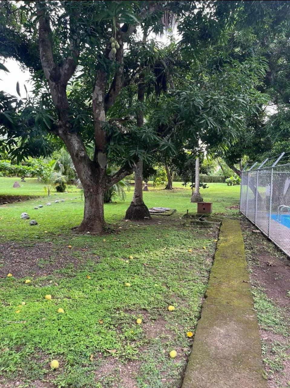 PLAYA AZUL, TÁRCOLES 7,658 m² - Gallery image 8