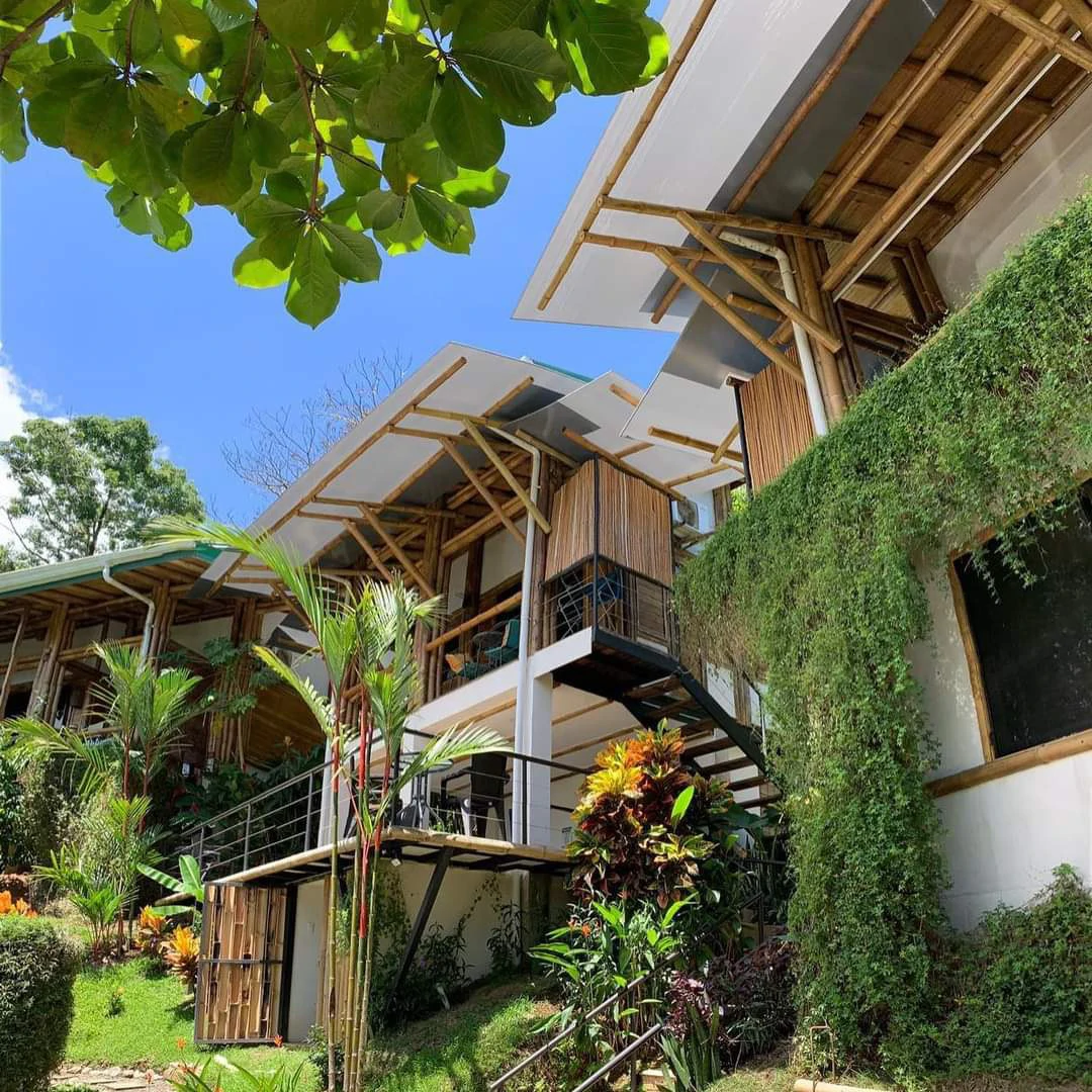 Cabinas Bambura: Cabinas Bambura: Successful Airbnb Business with Stunning Mountain & Jungle View - Gallery image 4